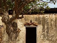 N2017032096
