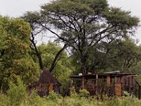 N2015040691 Delta de l'Okavango, Ile de Mgouma Okavnago Delta, Mguma island