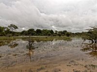 N2015040711 Delta de l'Okavango, Ile de Mgouma Okavnago Delta, Mguma island