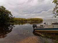 N2015040724 Delta de l'Okavango, Ile de Mgouma Okavnago Delta, Mguma island