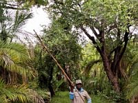 N2015040746 Delta de l'Okavango, Ile de Mgouma Okavnago Delta, Mguma island