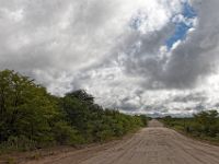 N2015041016 Parc national de Moremi Moremi National Park