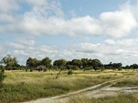 N2015041859 Route vers le Parc national de Savuti Road to Savuti National Park