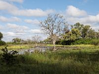 N2015041865 Route vers le Parc national de Savuti Road to Savuti National Park