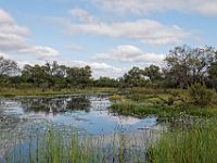 N2015041866 Route vers le Parc national de Savuti Road to Savuti National Park