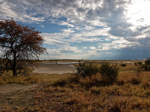 Nxai Pan Parc National