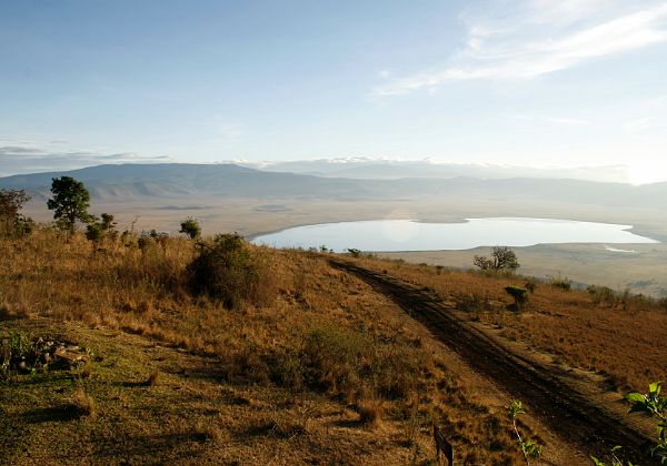 Cratere du Ngorongoro