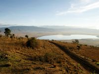 N2007111428 Ngorongoro est certainement l'un des parcs les plus étonnants. C'est dans le fond d'un immense cratère volcanique que toute une faune vit en quasi autarcie.