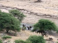 N2007110375 Mais l’endroit grouille de vie. Des animaux nomades, assoiffés, ont erré sur des centaines de kilomètres de terre asséchée en sachant qu’ici, il y a toujours de...