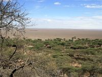 N2007111452 Le serengeti est un immense parc animalier dont les 