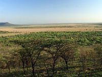 N2007111741 La faune de la plaine du Serengeti est estimée à deux millions d'herbivores et plusieurs milliers de prédateurs.