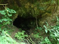 N2012070521 Entrée de la grotte dans la végétation